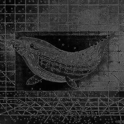 The 10.5% Illusion: Why Prediction Markets Miss the Real Entropy in Iran
