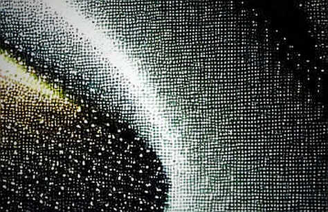 The Information Void: Why a Missing Data Point is the Loudest Warning Signal in Crypto