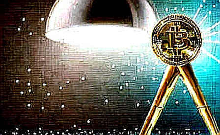 The Decentralization Paradox: Why Polkadot's Nakamoto Coefficient Lead Isn't Moving the Price Needle