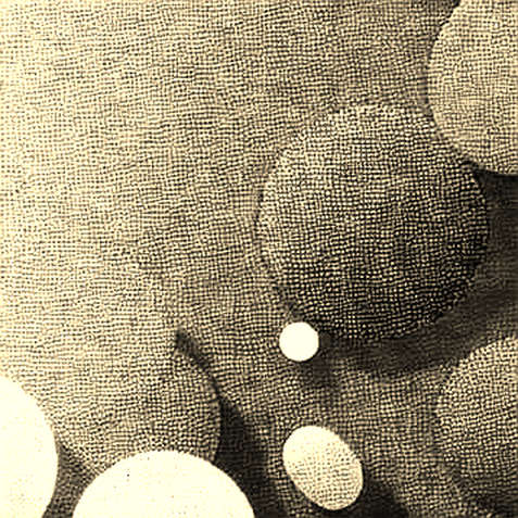 The Tether Tripartite Dream Unravels: Governance, Not Code, Is the Real Vulnerability The Tether Tripartite Dream Unravels: Governance, Not Code, Is the Real Vulnerability