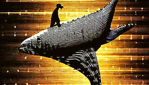The $319M Whale Migration: What a Single Wallet Cluster Tells Us About Layer-2 Loyalty The $319M Whale Migration: What a Single Wallet Cluster Tells Us About Layer-2 Loyalty
